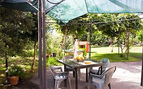 Guest House 